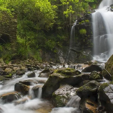 Zuflucht Bei Den Wasserfaellen * Sever do Vouga
